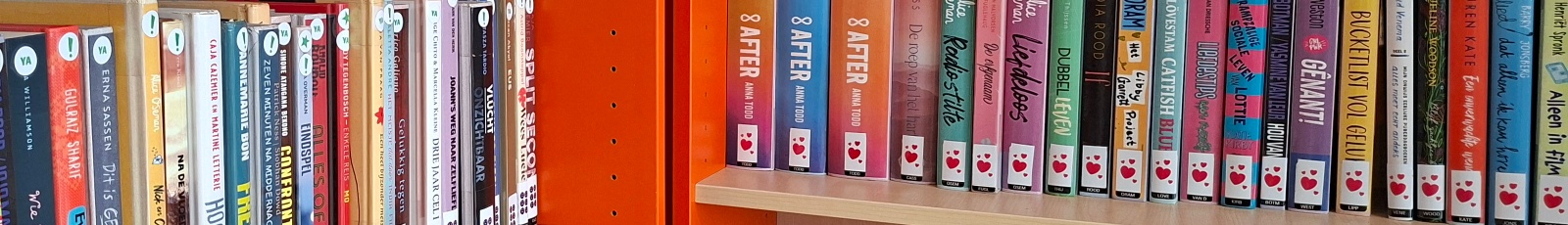 Ondersteuning